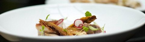 The Devonshire - Holiday Adelaide 0