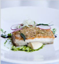 PJ's Irish Sports Bar & Bistro @ The Criterion Hotel - Holiday Adelaide 0