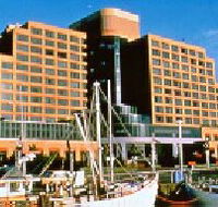 The Atrium Bar - Holiday Adelaide