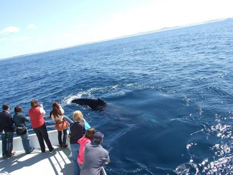 Moonshadow–TQC Cruises - Holiday Adelaide 1