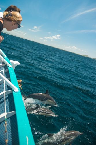 Moonshadow–TQC Cruises - Holiday Adelaide 3
