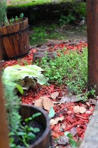 Herveys Range Heritage Tea Rooms - Holiday Adelaide 1