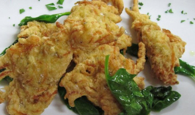 Haberfield NSW Holiday Adelaide