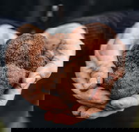 A Taste of Truffles - Holiday Adelaide