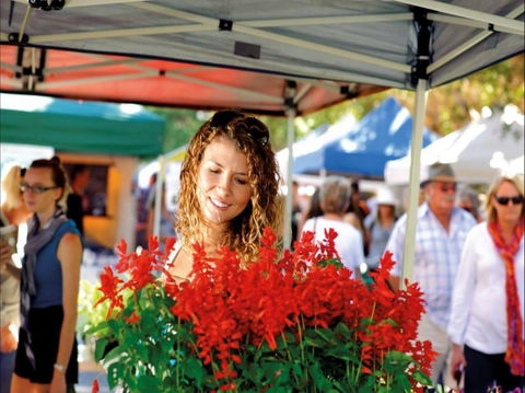 Ballina Missingham Farmers Market - Holiday Adelaide 0