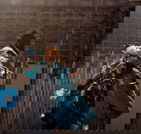 Baroque Horse Festival - Holiday Adelaide