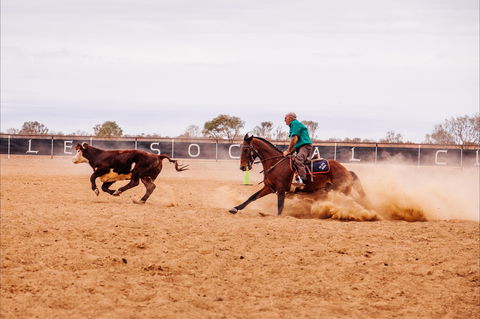 Birdsville Campdraft,  Rodeo And Bronco Branding - Holiday Adelaide 0