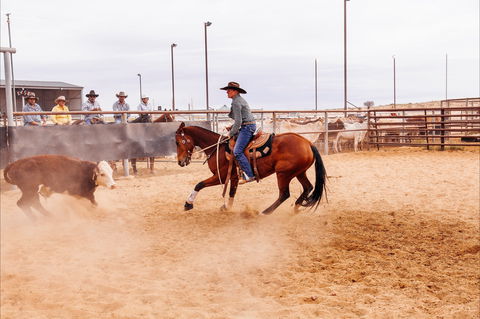 Birdsville Campdraft,  Rodeo And Bronco Branding - Holiday Adelaide 2