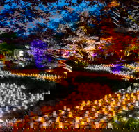 Canberra Nara Candle Festival - Holiday Adelaide