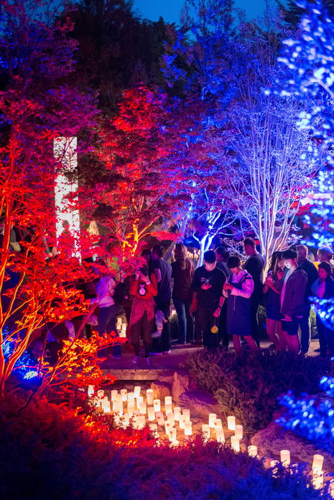 Canberra Nara Candle Festival - Holiday Adelaide 1