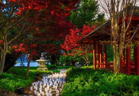 Canberra Nara Candle Festival - Holiday Adelaide 2