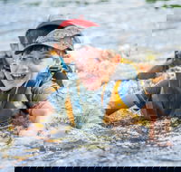 Cave Hill Creek Summer Camp - Holiday Adelaide