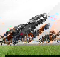 Christmas Cup Race Day - Holiday Adelaide