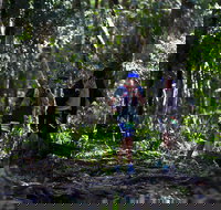 Elephant Trail Race - Holiday Adelaide