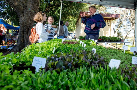 Gladstone Quality Markets - Holiday Adelaide 2