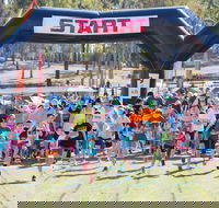 Ipswich Hospital Foundation Virtual Park2Park - Holiday Adelaide