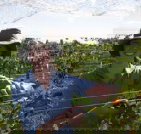 Kingsdale Wines - Cellar Door Wine Tastings - Holiday Adelaide