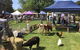 Mathoura Country Kids Festival - thumb 2