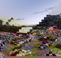 Moonlight Cinema - Sydney - Holiday Adelaide