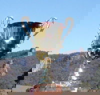 Nimbin Poetry World Cup - Holiday Adelaide