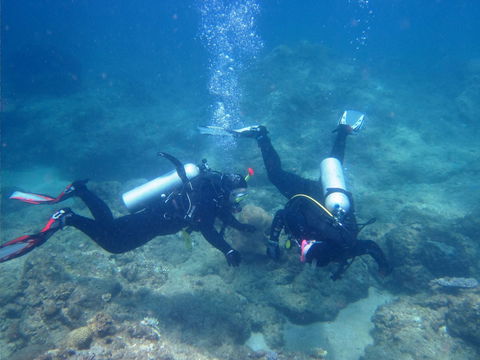 Recovery Of The Great Barrier Reef Expedition - Holiday Adelaide 1