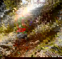 Run Dungog - Holiday Adelaide