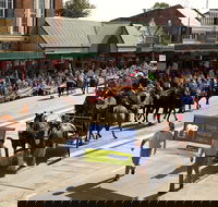Scone Horse Festival - Holiday Adelaide