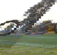 SculptureShaw - Holiday Adelaide