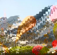 Sevenhill Producers Market - Holiday Adelaide