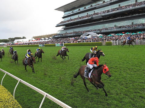 The TAB Everest: The World’s Richest Race On Turf - Holiday Adelaide 0