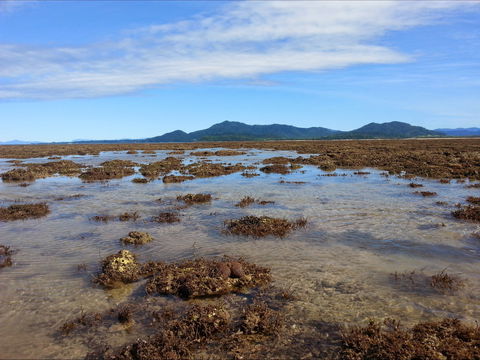 Walk To The Reef - Holiday Adelaide 0