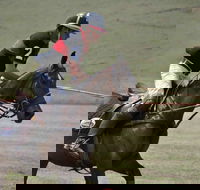 Wirragulla Annual Polo Tournament - Holiday Adelaide