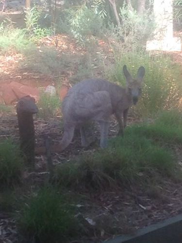 Queensland Winter Craft Festival - Holiday Adelaide 4