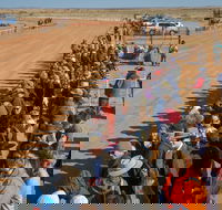 28th Marree Australasian CAMEL CUP 3 July 2021 - Holiday Adelaide