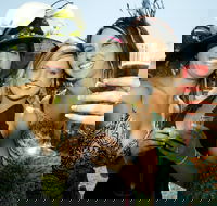 Albury Racing Club Boxing Day Races - Holiday Adelaide