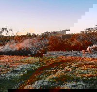 Cargo Road Wines Grande Fiamma - Holiday Adelaide