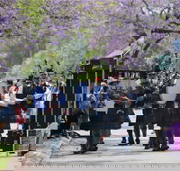 Celtic Festival of Queensland - Holiday Adelaide