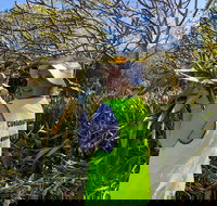 Conservation Volunteers Australia Townsville - Beach Scrub Conservation - Holiday Adelaide