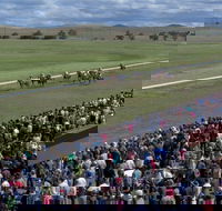 Cooma Sundowners Cup - Holiday Adelaide