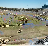 Dogs In the Park Swansea - Holiday Adelaide