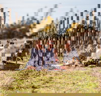 Family Picnic Weekend - Holiday Adelaide