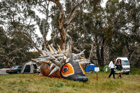 Field Good Festival - Holiday Adelaide 2