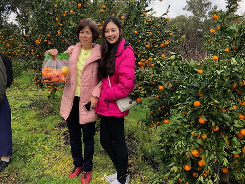 Fruit Taste Adventure Tours - Holiday Adelaide 0
