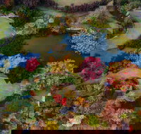 Glenrock Gardens Open Garden - Holiday Adelaide