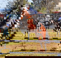 Glen Innes Pastoral and Agricultural Show - Holiday Adelaide