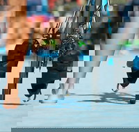 Gold Coast Triathlon Training - Holiday Adelaide