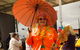 Goomeri Pumpkin Festival - thumb 0