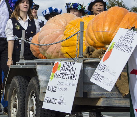 Goomeri Pumpkin Festival - Holiday Adelaide 2