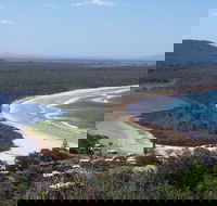 Head to Head Walk Run - Holiday Adelaide