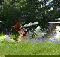 High Country Writers Festival - Holiday Adelaide